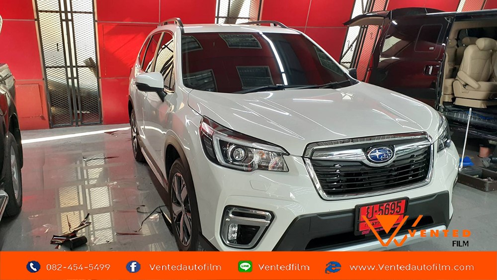 forester 01